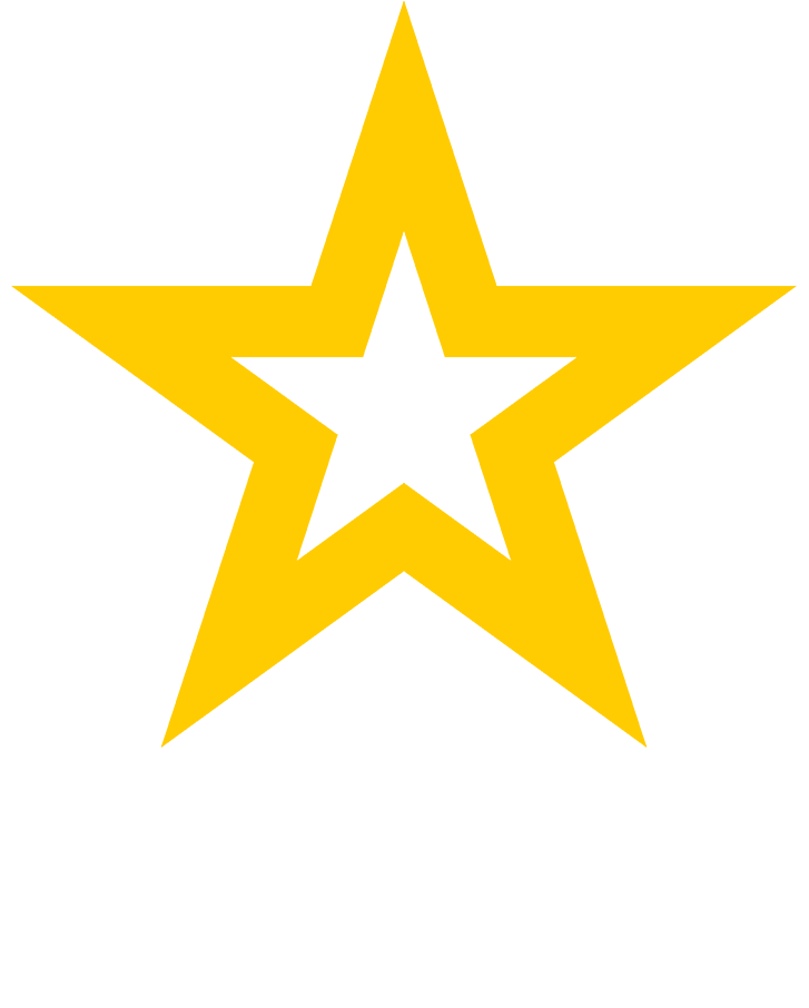 Army Profession
