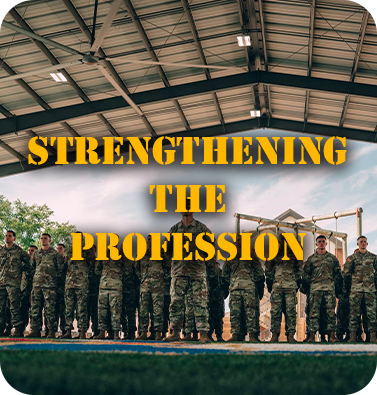 Strengthening the Profession